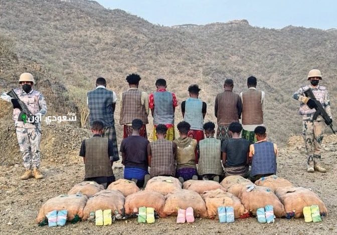 القت القبض على تسعة أشخاص لتهريبهم 320 كيلوغراماً من نبتة القات المخدر