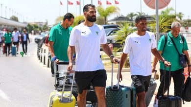 بعثة المصري