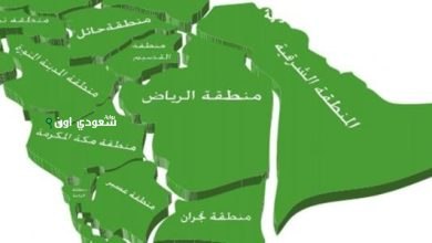 مناطق المهددة بالرياض
