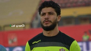 عمرو شعبان
