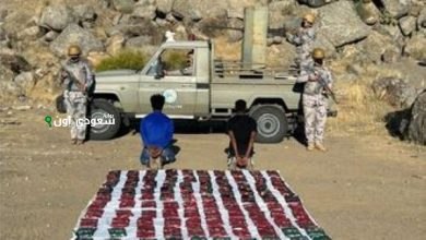 مكافحة المخدرات