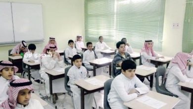 التعليم في المملكة
