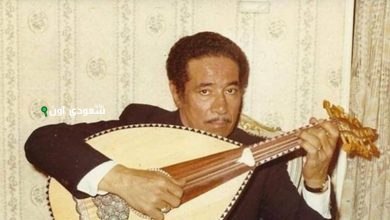 محمد الموجي