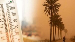 صورة مقال ذو صلة: ارتفاع درجات الحرارة في الشرقية مع رياح نشطة تصل إلى 48 مئوية