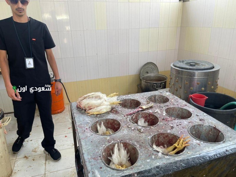 ضبط مسلخ عشوائي للدواجن في منطقة الرياض بواسطة “بيئة الخرج”