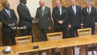 نائب وزير الخارجية