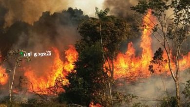 الحرائق في سورية