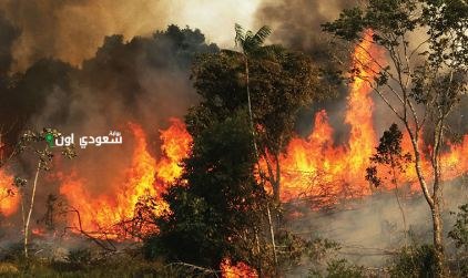 استمرار الحرائق في سورية مع تقديم تمويلات جديدة لمكافحة النيران المتزايدة