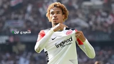 هوجو إيكيتيكي