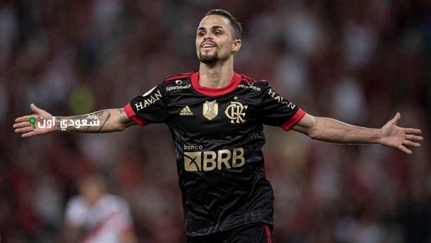 ميشيل ديلجادو