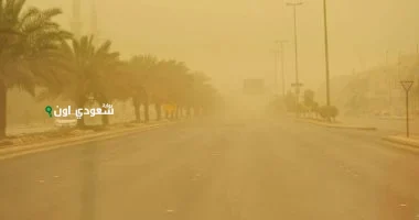 توقعات الطقس اليوم: أمطار ورياح وأتربة في عدة مناطق