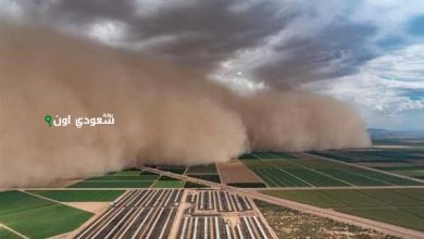 اليوم العالمي لمكافحة العواصف الرملية