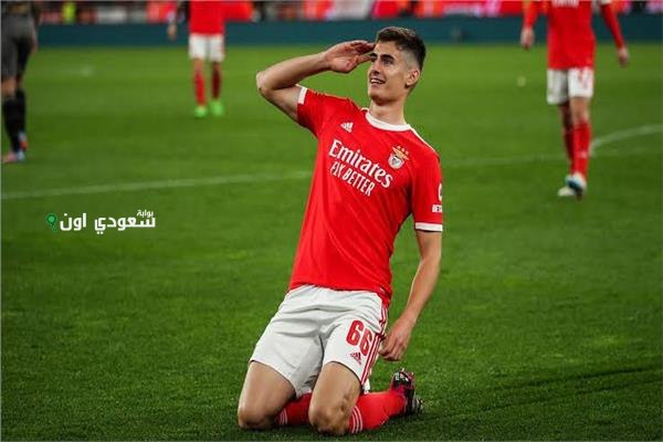 لاعب بنفيكا البرتغالي يرفض عرض الهلال التاريخي في الميركاتو الصيفي مع تفاصيل مثيرة