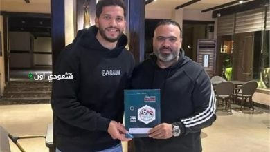 محمود وادي