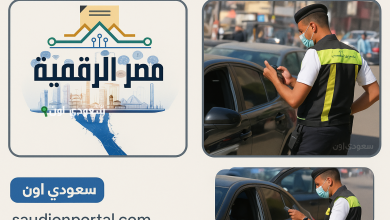 الاستعلام برقم لوحة السيارة بدون رقم قومي