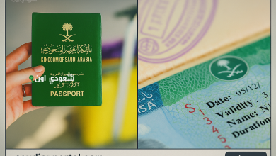 منصة التأشيرات