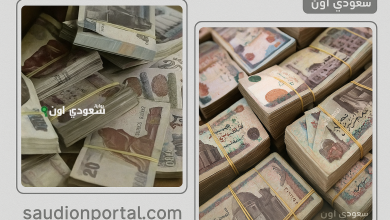 الاستعلام عن زيادة المعاشات بعد بدء صرف معاشات شهر يوليو