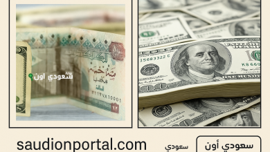 الدولار يبدأ تعاملاته في البنوك أمام الجنيه المصري