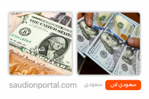 تحركات الدولار في البنوك المصرية اليوم