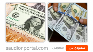 تحركات الدولار في البنوك المصرية اليوم