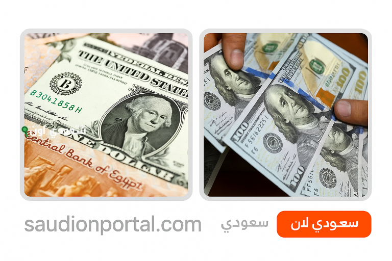 تحركات الدولار في البنوك المصرية اليوم