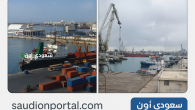رسوم التصوير الجديدة في ميناء الإسكندرية