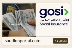 نظام التأمينات الاجتماعية منذ بداية يوليو