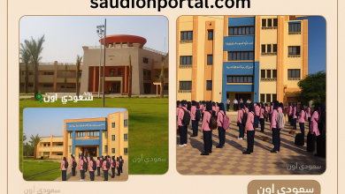 التقديم لمدارس ستيم exls.emis.gov.eg