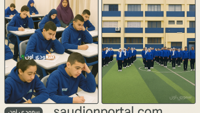 تنسيق مدارس التكنولوجيا التطبيقية