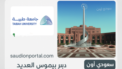 شروط برنامج الترقية الأكاديمية في جامعة طيبة