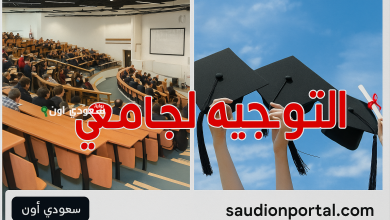 نتائج التوجيه الجامعي 2025 للمترشحين لدورة المتفوقين في فرنسا وألمانيا
