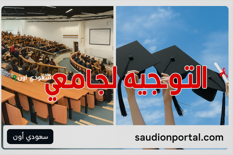 نتائج التوجيه الجامعي 2025 للمترشحين لدورة المتفوقين في فرنسا وألمانيا