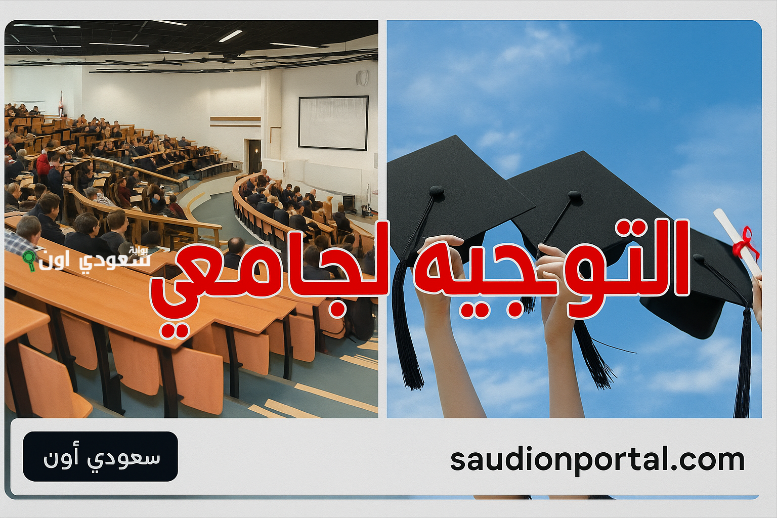 نتائج التوجيه الجامعي 2025 للمترشحين لدورة المتفوقين في فرنسا وألمانيا