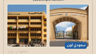 رابط نتيجة كلية التربية جامعة كفر الشيخ