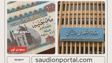 الضمان الاجتماعي