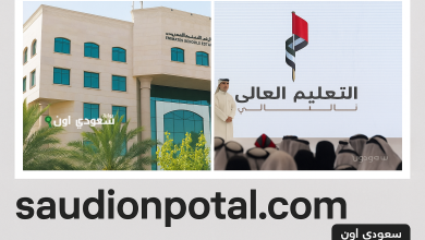 التعليم العالي في الإمارات