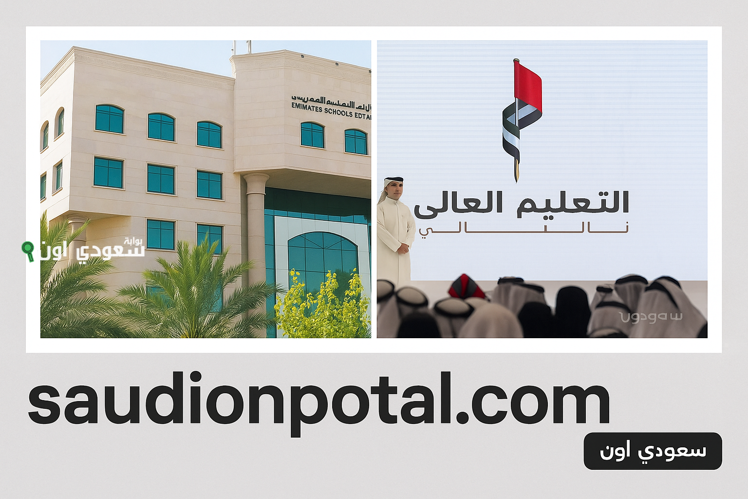 التعليم العالي في الإمارات