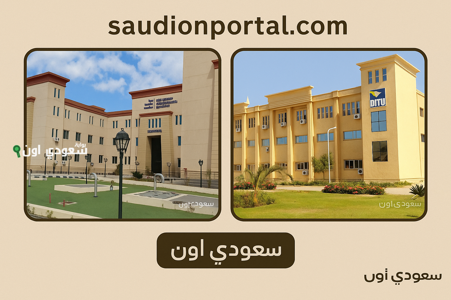 الجامعات التكنولوجية المعتمدة في مصر