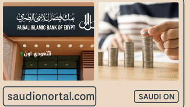 أفضل صناديق الاستثمار من بنك فيصل الاسلامي