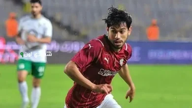 محمد شكرى
