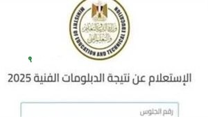 نتيجة الدبلومات الفنية 2025