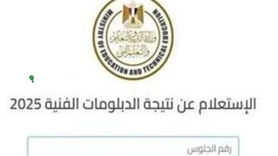 نتيجة الدبلومات الفنية 2025