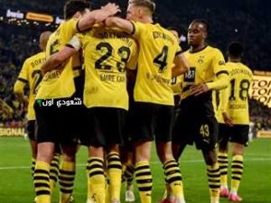 بوروسيا دورتموند