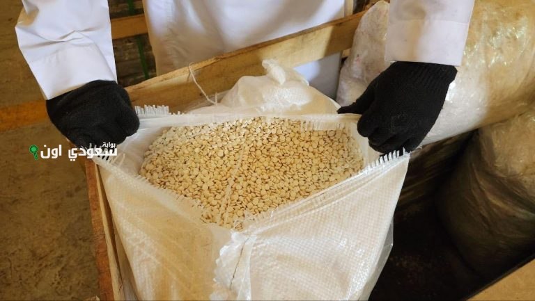 تهريب 5 ملايين قرص أمفيتامين