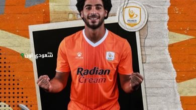 محمود عماد