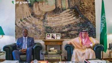 المنظمة الدولية للشرطة الجنائية تمنح وزير الداخلية وسام «الإنتربول»