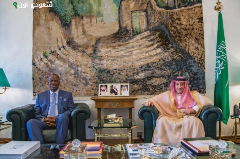 المنظمة الدولية للشرطة الجنائية تمنح وزير الداخلية وسام «الإنتربول»