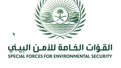 الأمن البيئي
