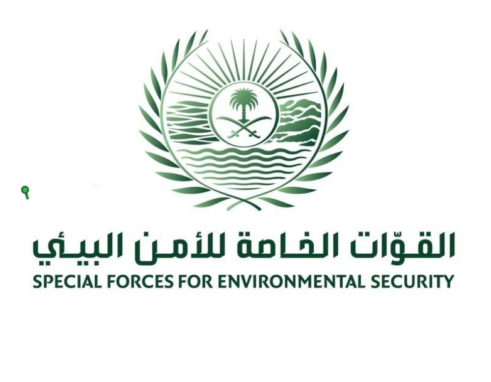 الأمن البيئي يضبط مواطناً أشعل النار في أراضي الغطاء النباتي بحائل