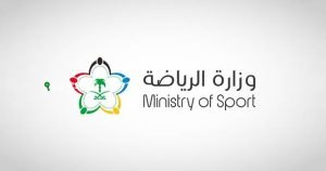 لجنة الاستدامة المالية